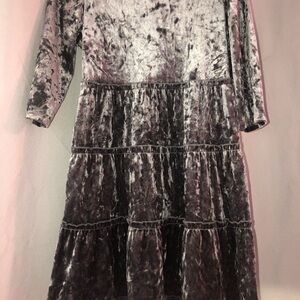 Wonder Nation Shimmering Gray Velvet Dress